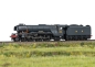 Preview: 39969 Dampflok Cl.A3 Fl. Scotsman