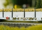 Preview: 46016 Rungenwagen, Sersa, Epoche VI