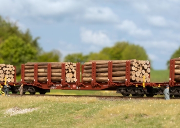 47154 Rungenwagen-Set Holztransp.DB