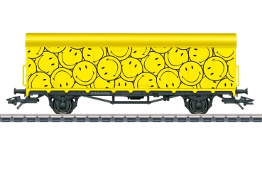 48880 Smiley Wagen 2023