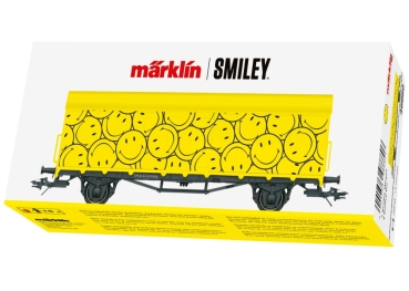 48880 Smiley Wagen 2023